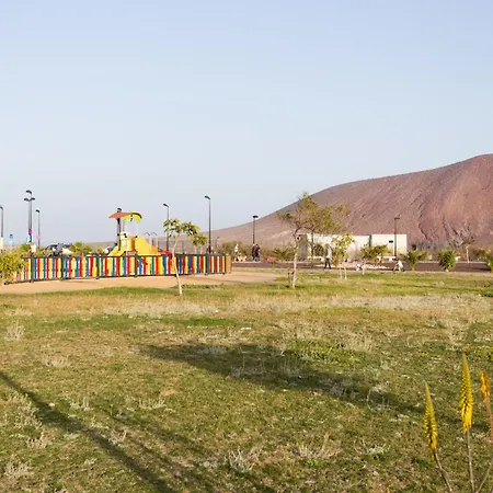 Aloe La Tejita *